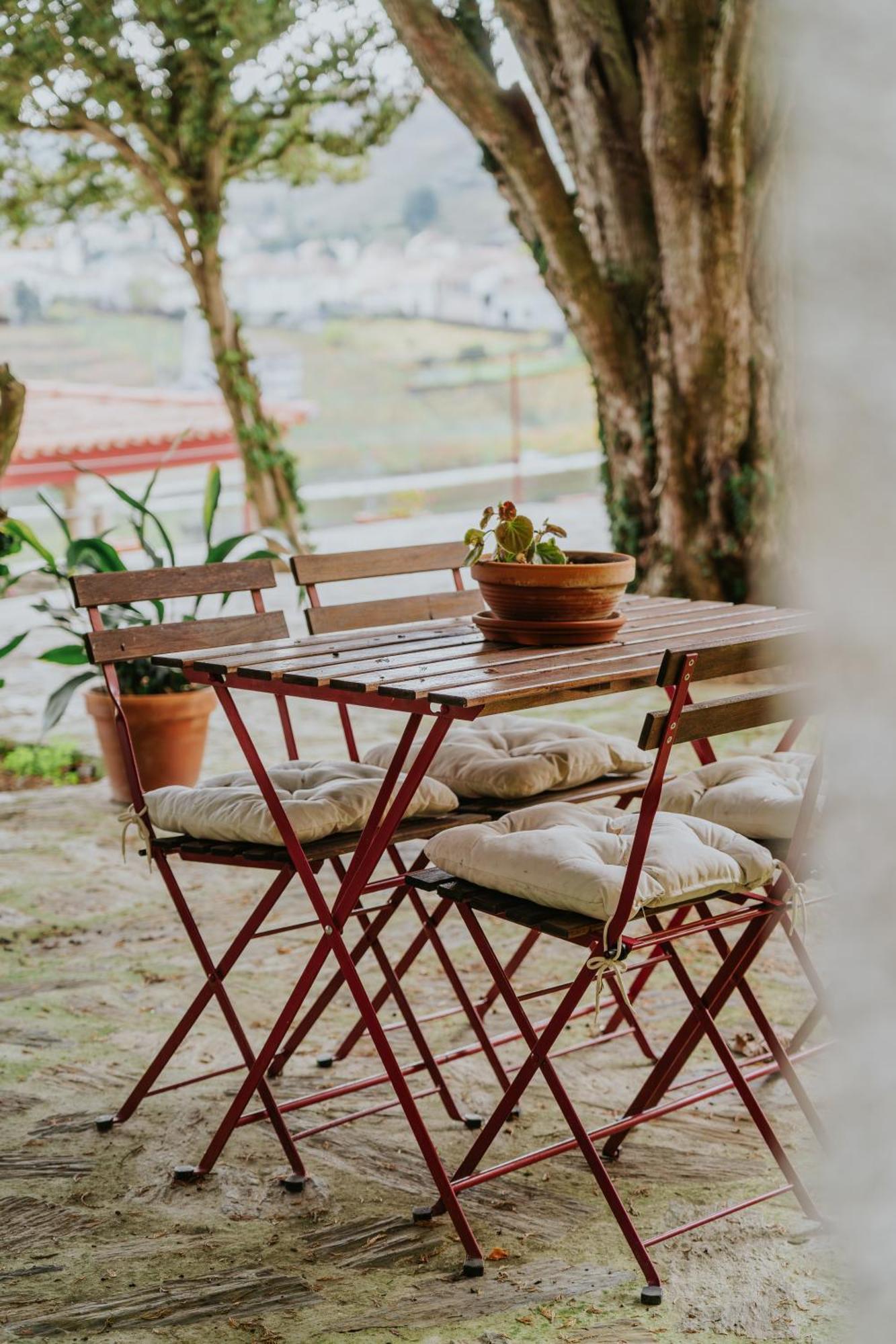 Casa Do Salgueiral Villa Santa Marta de Penaguião Dış mekan fotoğraf