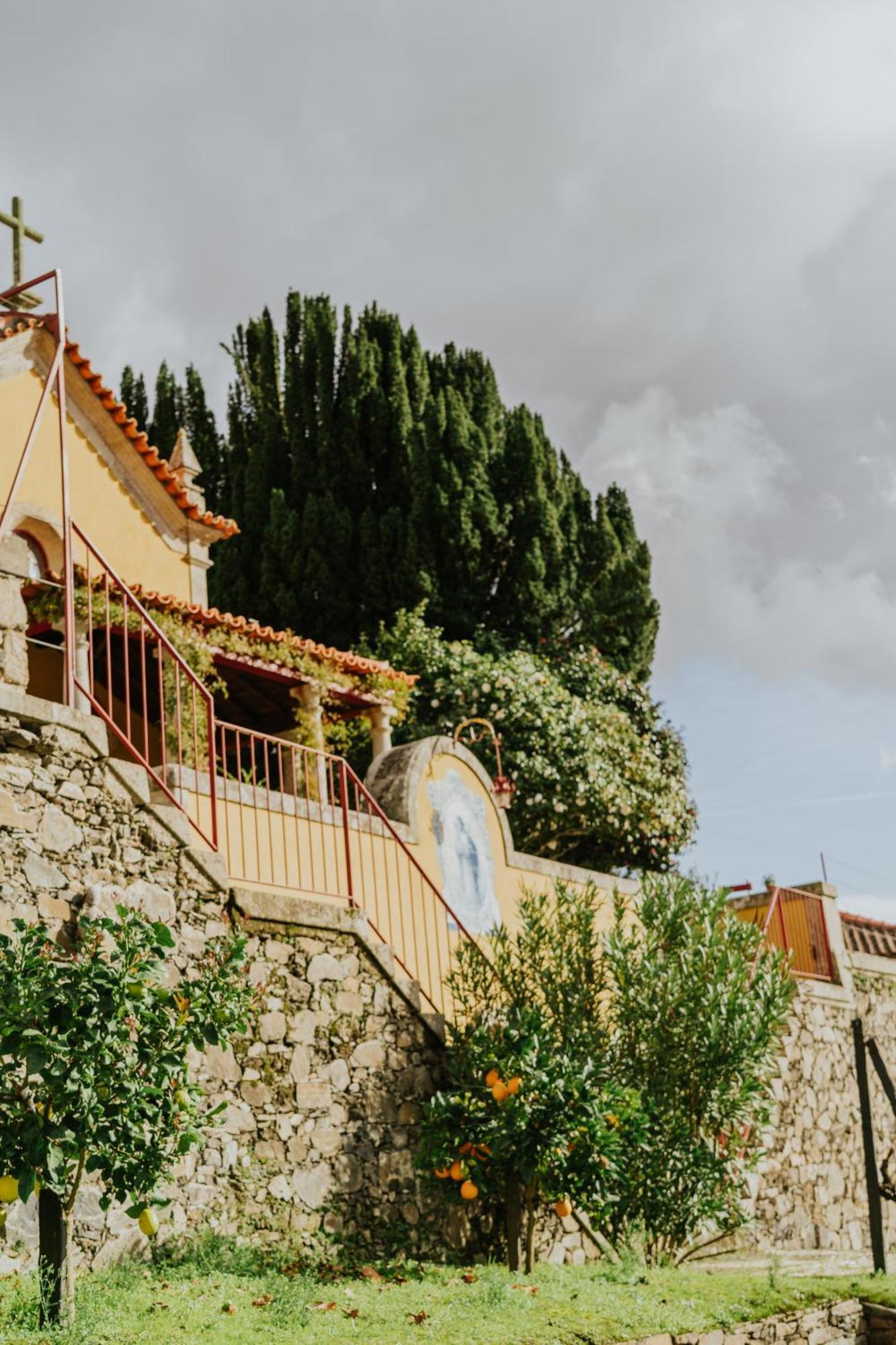 Casa Do Salgueiral Villa Santa Marta de Penaguião Dış mekan fotoğraf